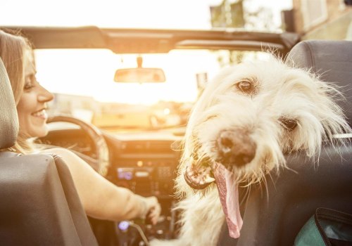 The Best Pet-Friendly Places to Stay in Hertfordshire